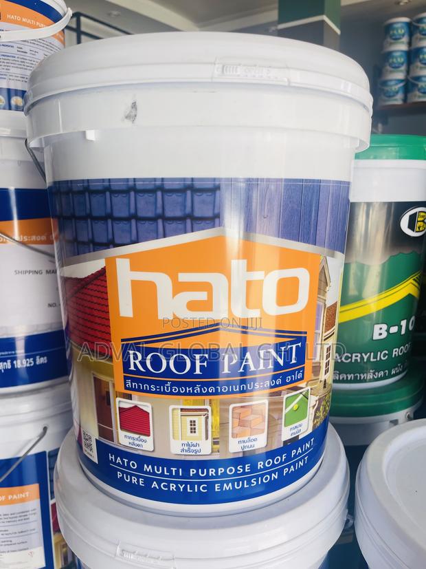 Hato Roof Paint · Photo 3