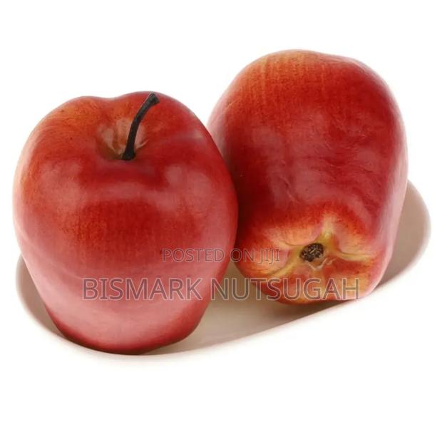Artificial Fruit for Sale · Photo 5