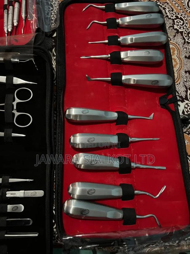 Dental Root Elevator Set 10 Pieces · Photo 2