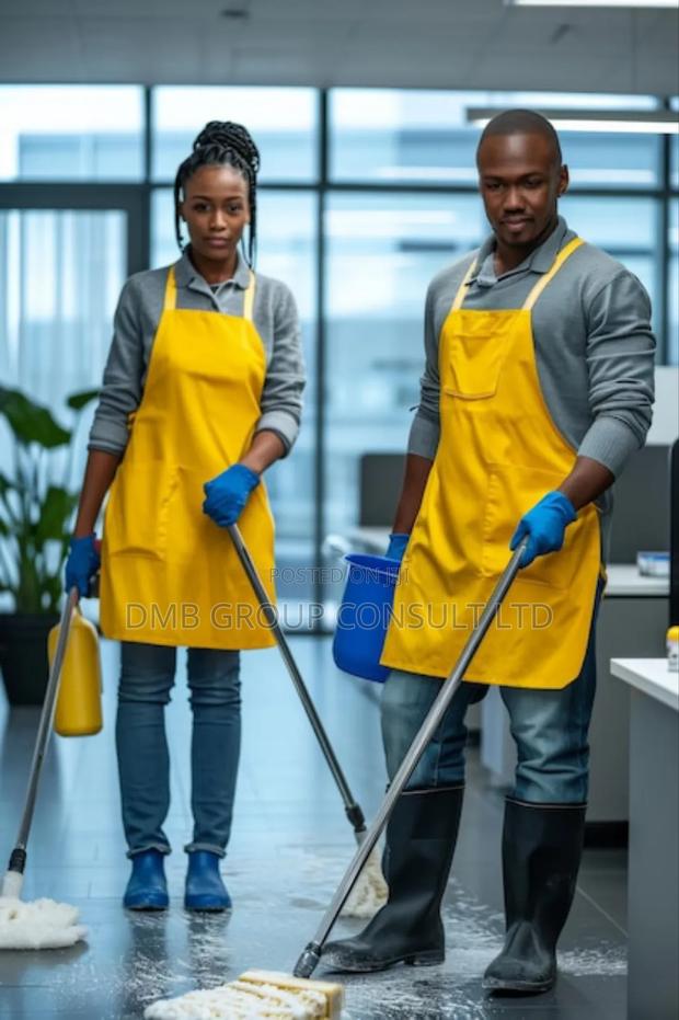 Expects in Cleaning Services · Photo 1