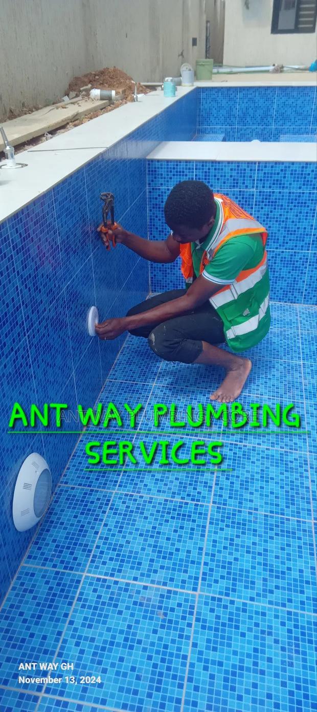 Swimming Pool Professionalist · Photo 2