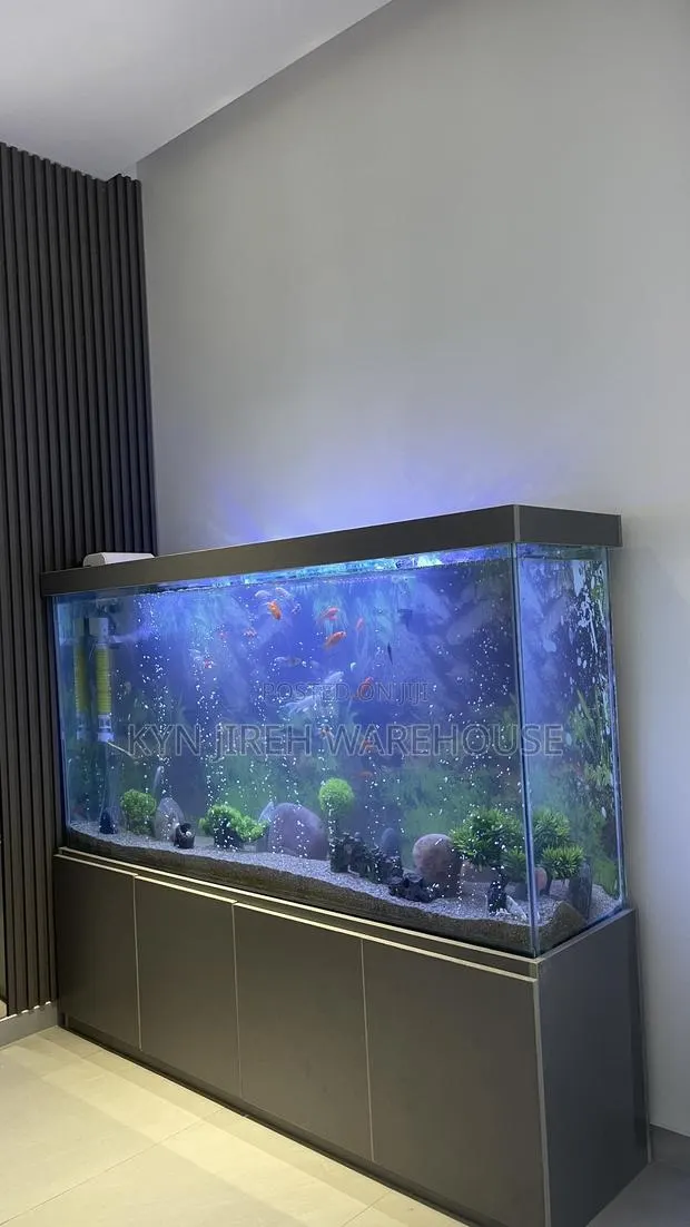 August Aquarium With 30 Fishes · Photo 1