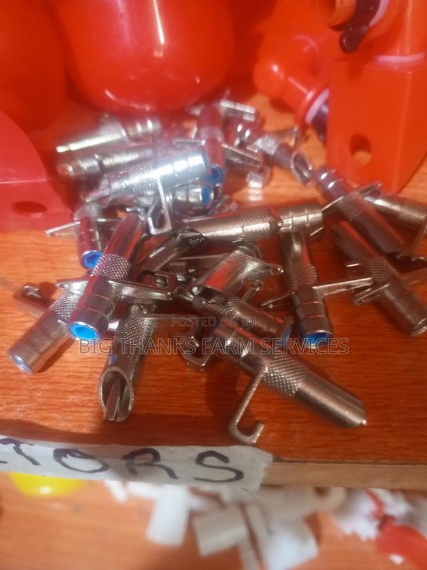 Rabbit/Grasscutter Nipples · Photo 1