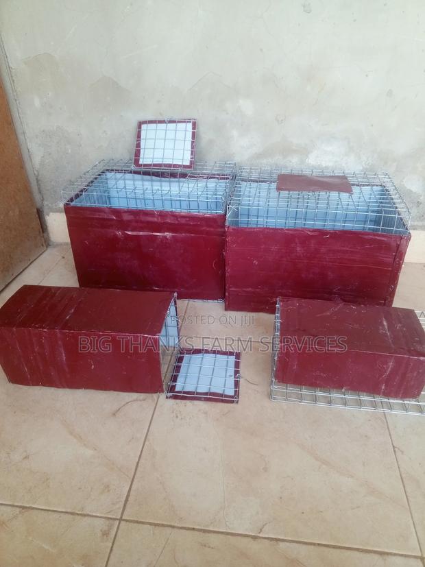 Grasscutter/Rabbit Transporting Cages · Photo 2