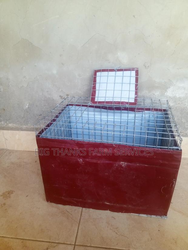Grasscutter/Rabbit Transporting Cages · Photo 3