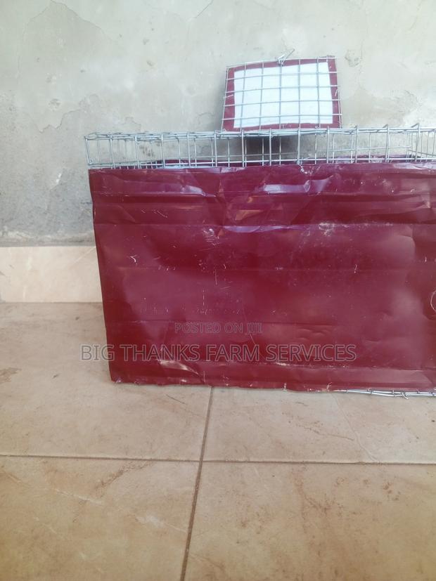 Grasscutter/Rabbit Transporting Cages · Photo 5