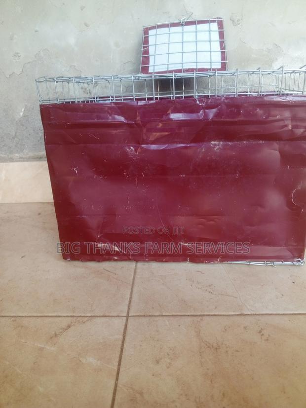 Grasscutter/Rabbit Transporting Cages · Photo 6