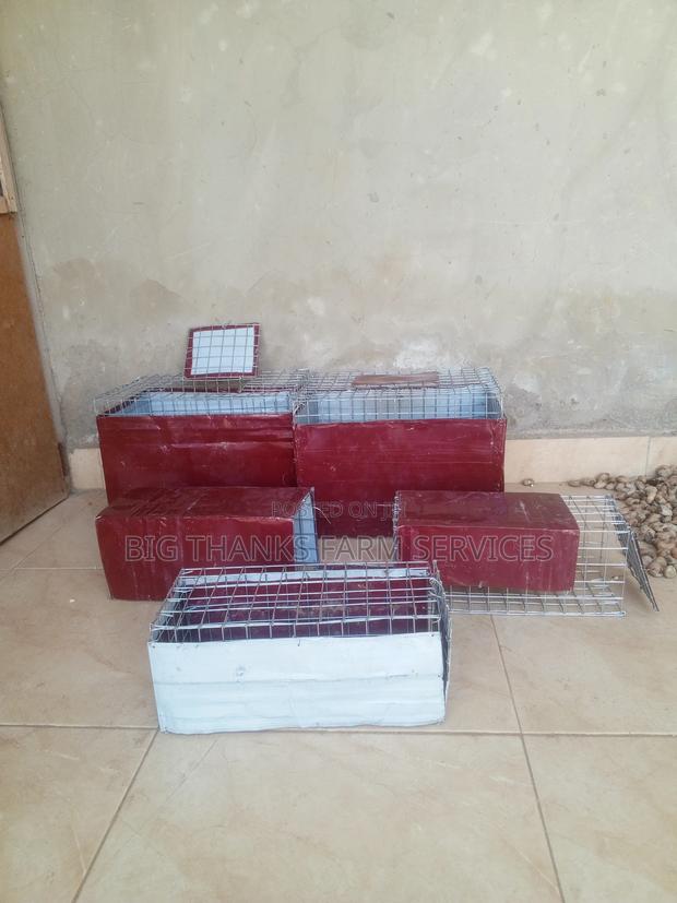 Rabbit/Grasscutter Catching/Transporting Cages · Photo 1