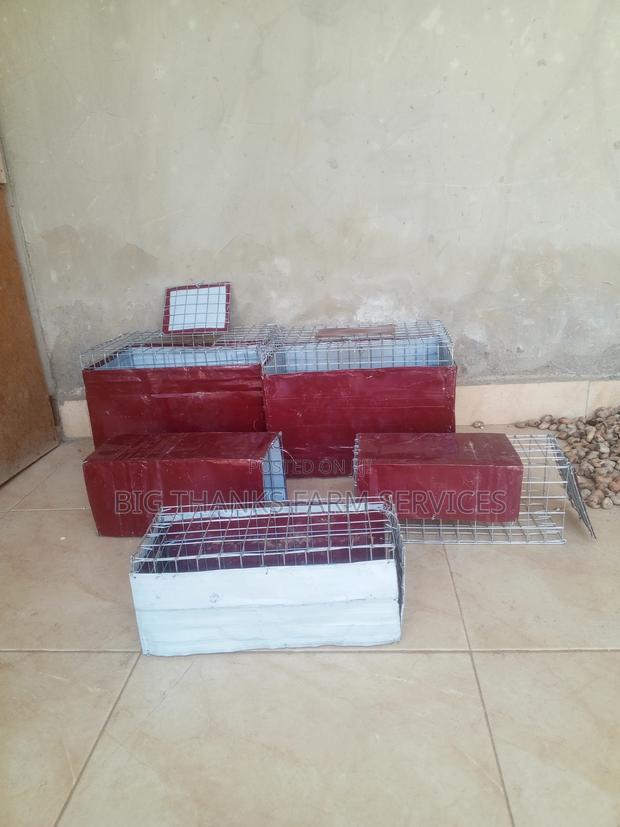 Rabbit/Grasscutter Catching/Transporting Cages · Photo 2