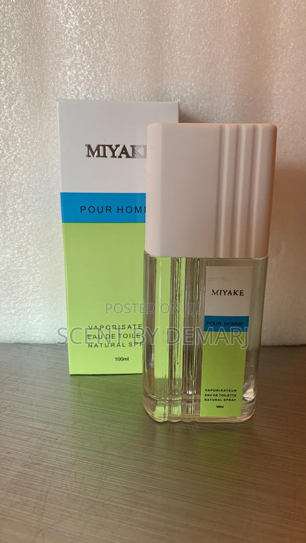 Miyake Pour Homme · Photo 1