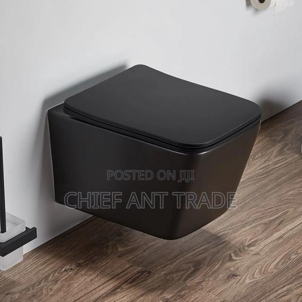 Wall Hung Toilet Pot Wc Concealed 625b C · Photo 1