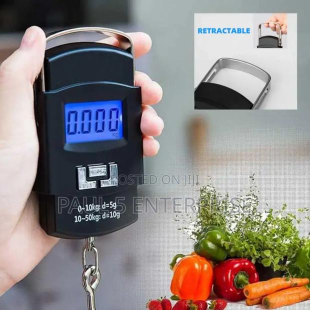 Wholesale And Retail 50kg Hanging Scale High Quality · Photo 4