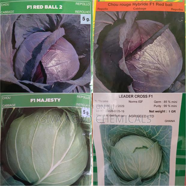 Cabbage(Red and Green) Seeds · Photo 1