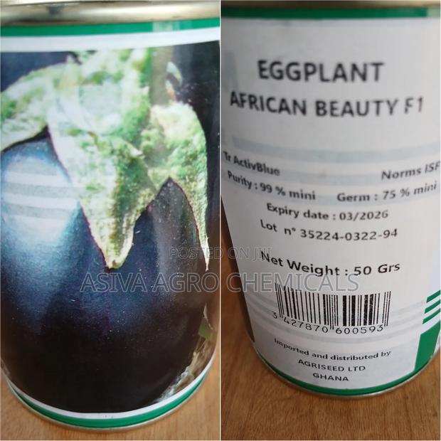 Aubergine Seeds · Photo 2