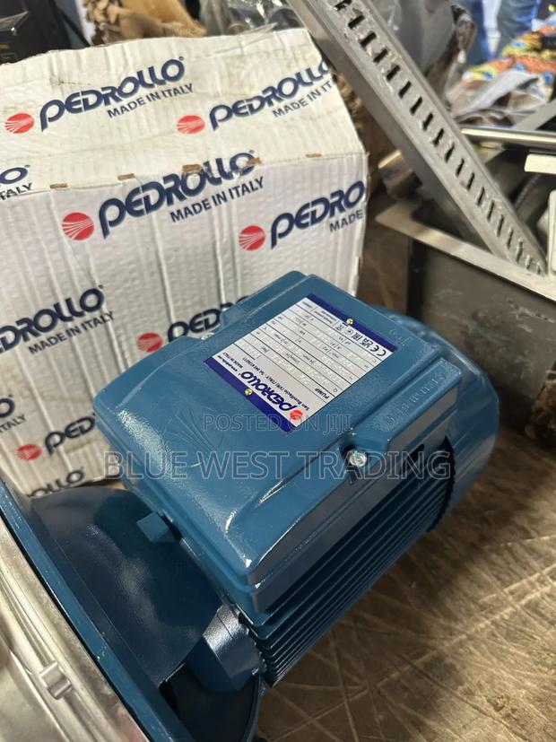 Pedrollo 2hp Stainless _ Pedrollo 2 Horsepower Pump · Photo 3