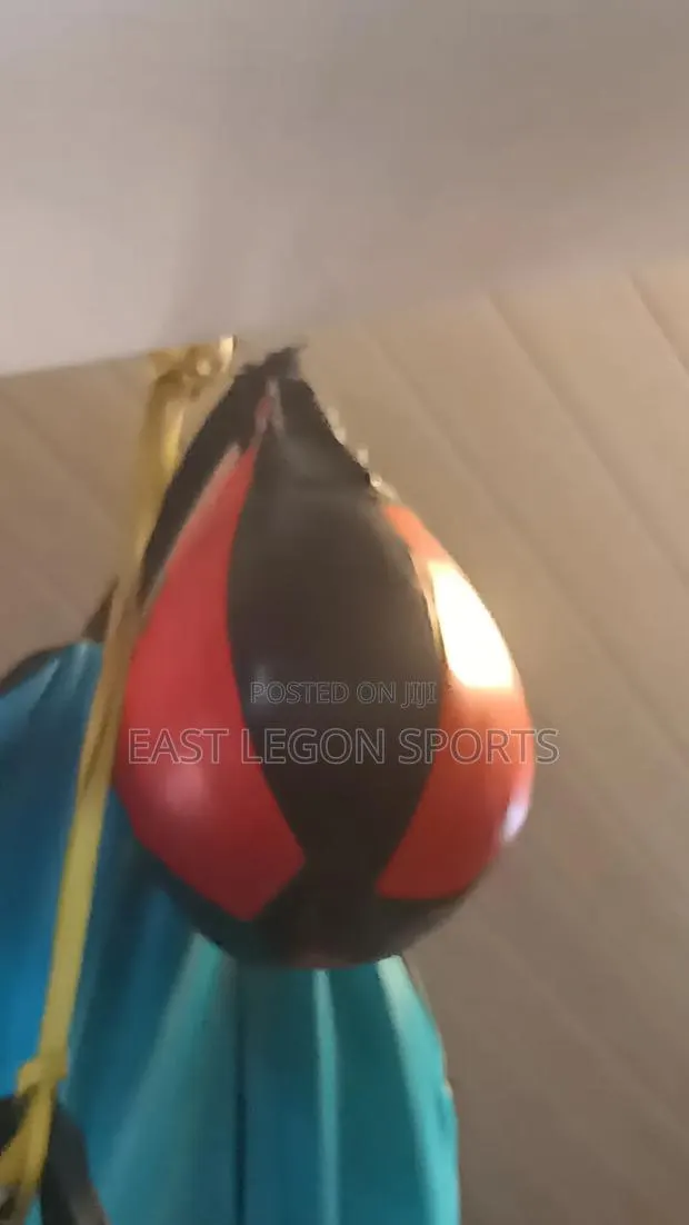 Everlast Professional Boxing Speed Ball Punch Ball · Photo 1