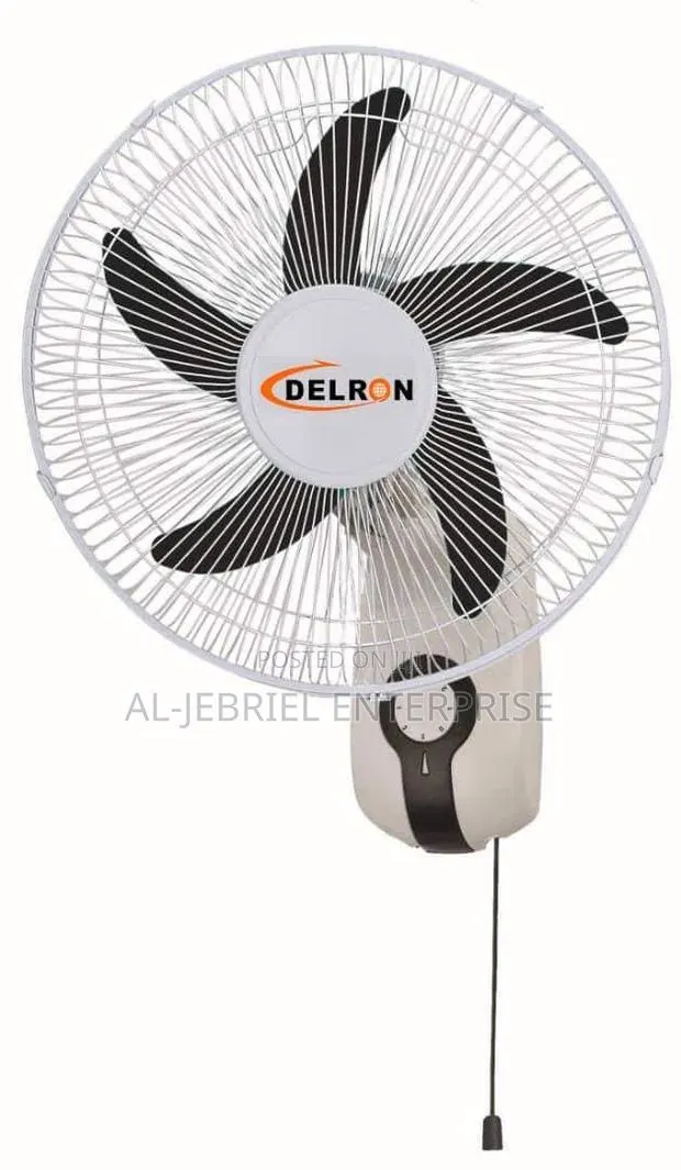 Delron Wall Fan 16” · Photo 1