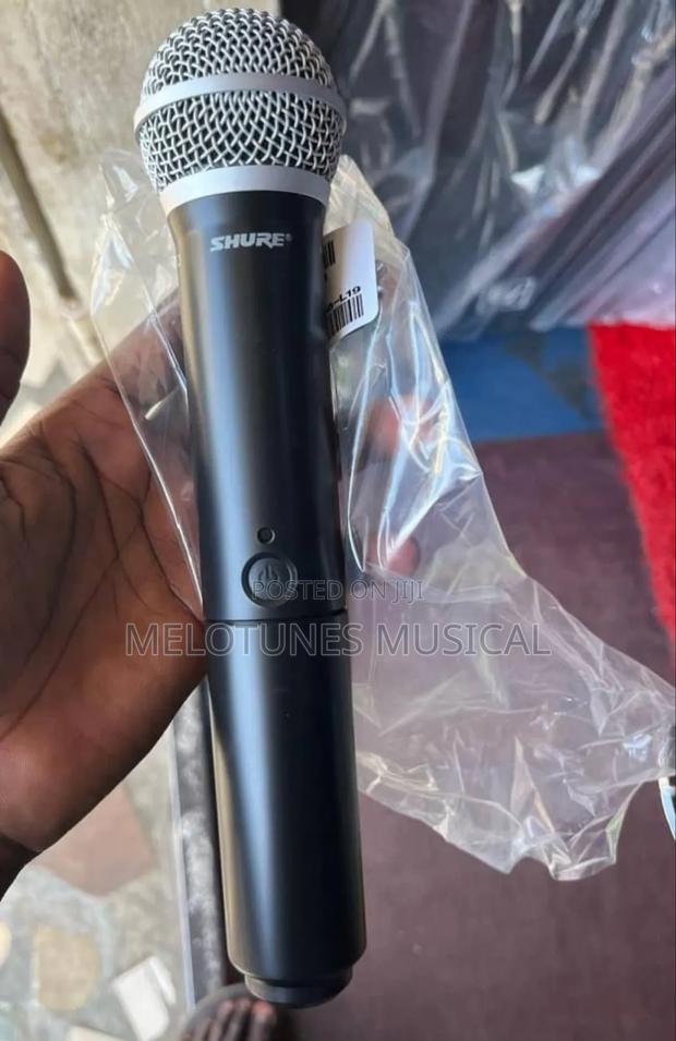 Shure Blx288/Pg58 Wireless Professional Microphone System · Photo 4