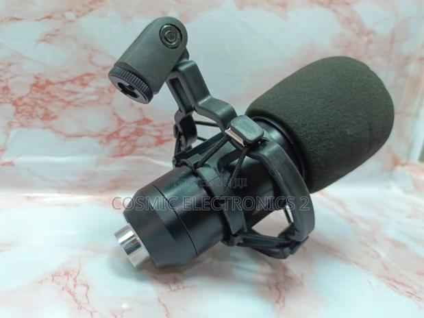 Professional Condenser Microphone. · Photo 1
