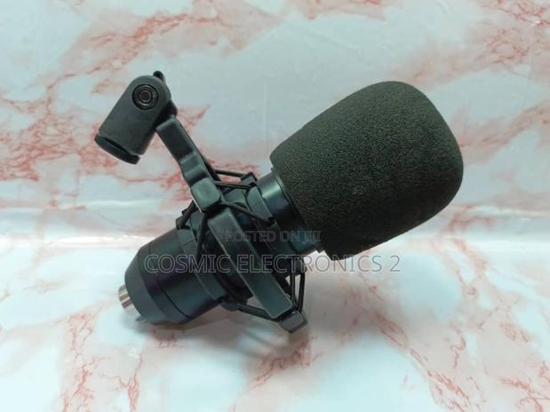 Professional Condenser Microphone. · Photo 2