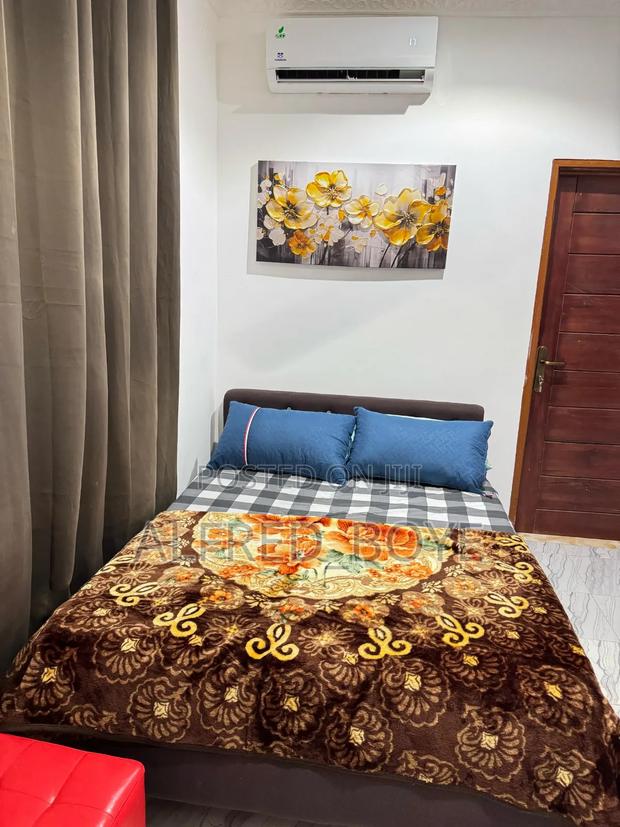 Furnished 1bdrm Apartment in Kunedu Estates, Dansoman for rent · Photo 2