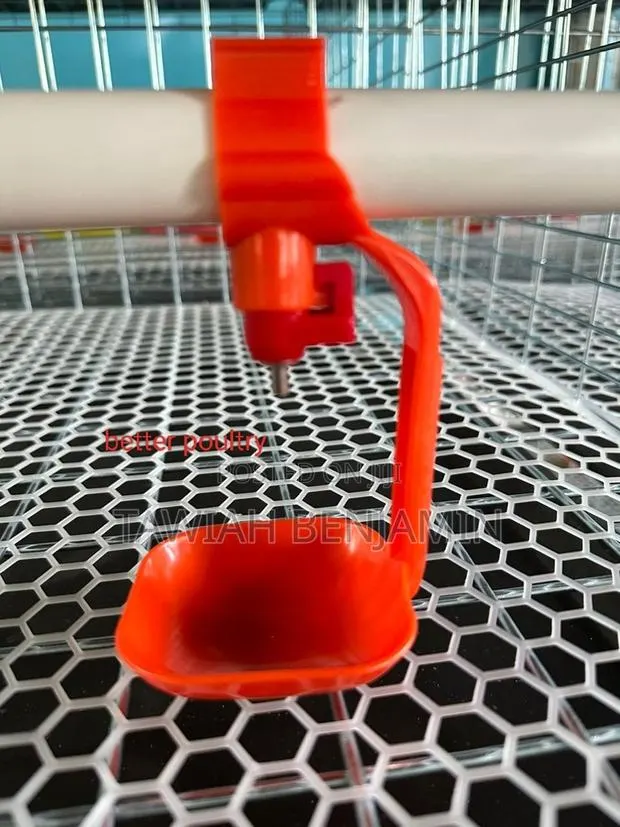 Chicken Nipple Withcup · Photo 1