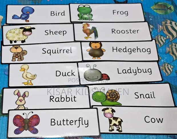 16pcs Animal Flash Cards for Kids 1 to 3 Years · Photo 1