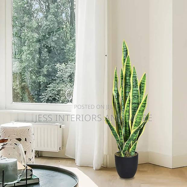 Artificial Plant (Snake Plant) · Photo 1
