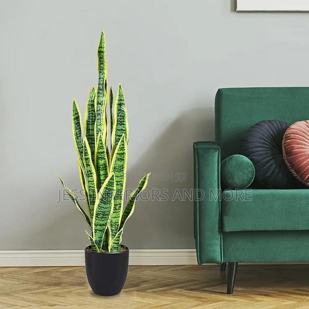 Artificial Plant (Snake Plant) · Photo 4