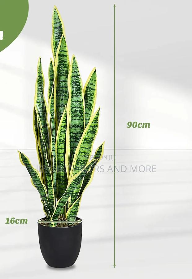Artificial Plant (Snake Plant) · Photo 2