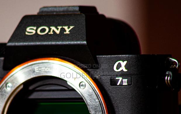 Sony Alpha A7ii Body, Silicon Case and 2 Battery · Photo 5