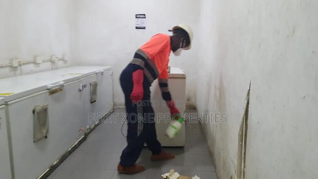 Western Fumigation Services With Cleantex · Photo 3