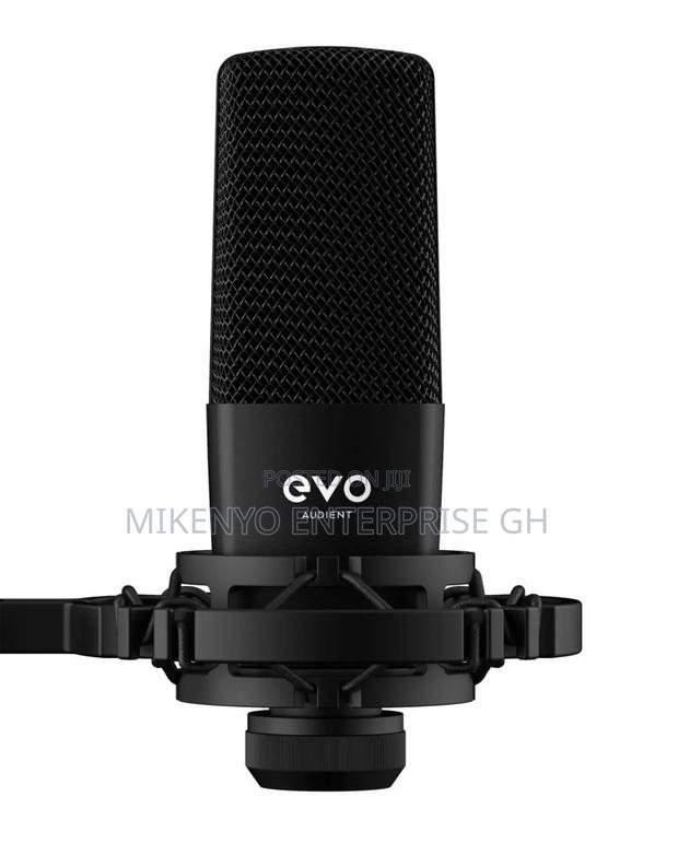 Audient Sr1 Large-Diaphragm Condenser Microphone. · Photo 5
