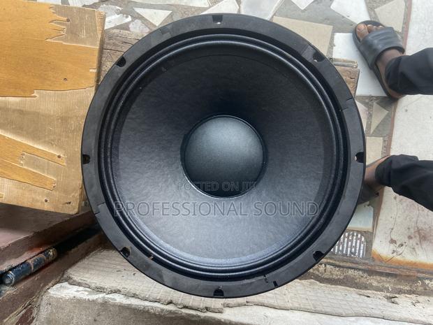 RCF Naked Speaker 15” · Photo 1