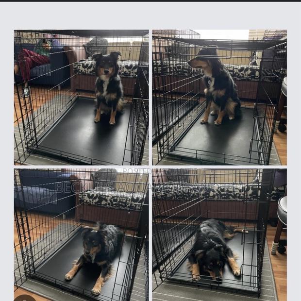 48 Inches Quality Heavy Duty Cage · Photo 3