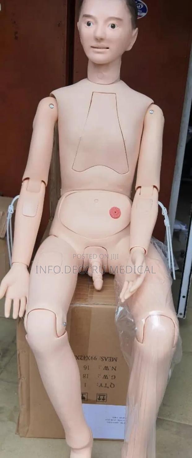 Dummy (Manikin Full)