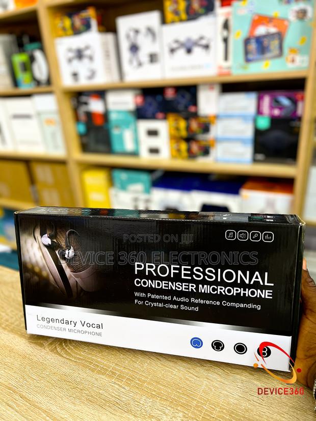 Profession Studio Condenser Microphone · Photo 2