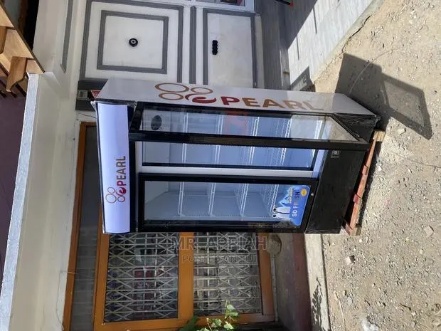 Cheap but Quality Pearl Double Door Refrigerator (PVC-74) · Photo 1