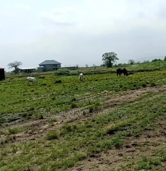 1 Plot of Land for Sale · Photo 1