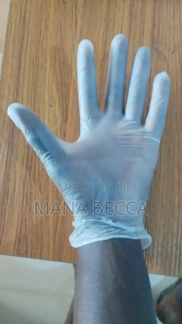 Disposable Vynil Gloves · Photo 1