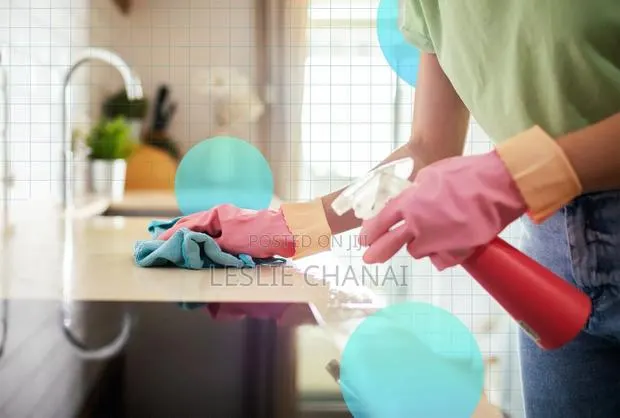 Cleaner Needed · Photo 1