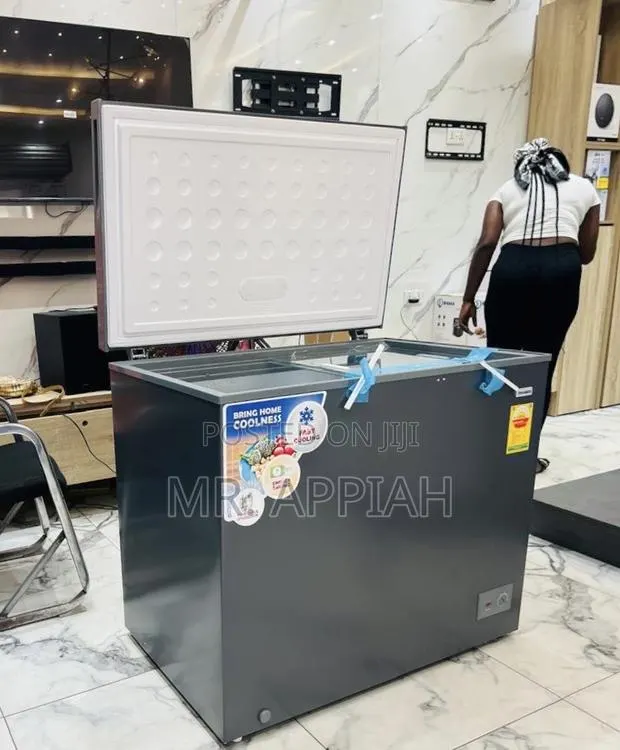 Original Nasco Nas300 Single Door Chest Freezer(Nas300) · Photo 1
