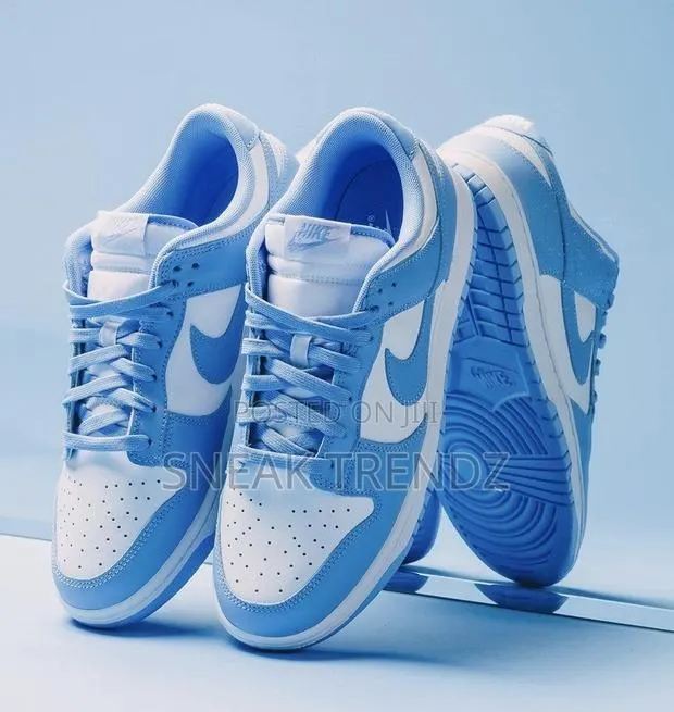 Nike Sb Low Sea Blue White · Photo 1