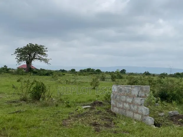 Why Rent When You Can Own Land? · Photo 1