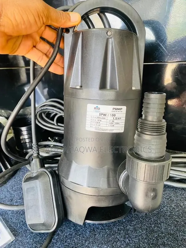Garden Works With Rio 1.5Hp Garden Submersible Water Pump · Photo 1