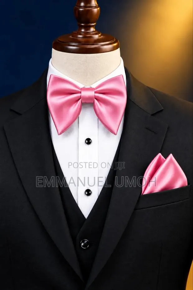 Classy Pink Bow Tie With Pocket Kerchief · Photo 1