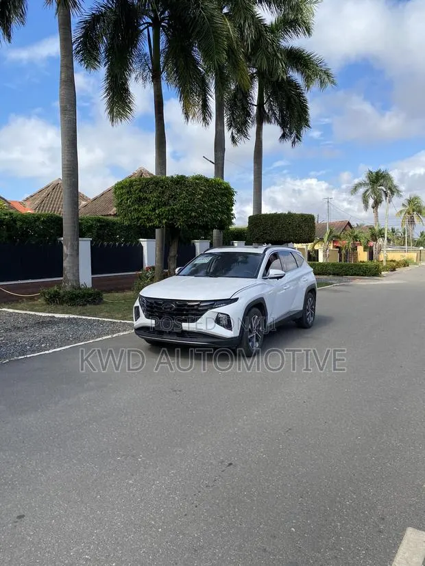 Hyundai Tucson Ultimate 2021 White · Photo 1