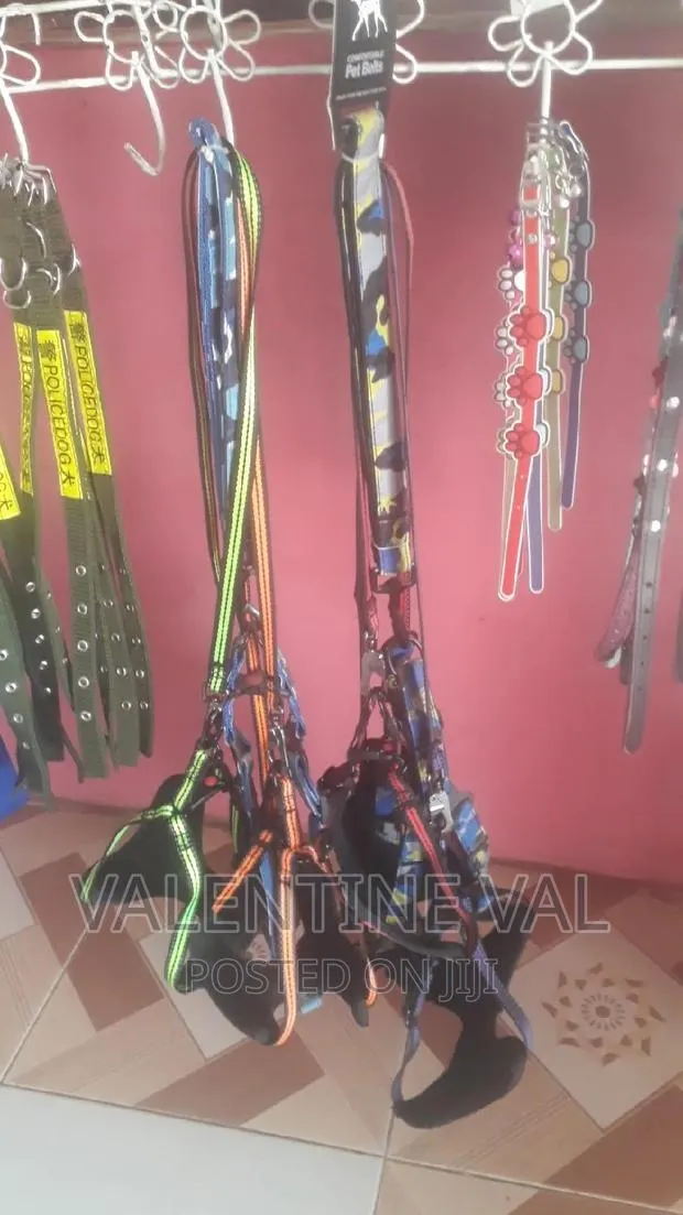 Dog Harness for Your Small and Big Dog · Photo 1