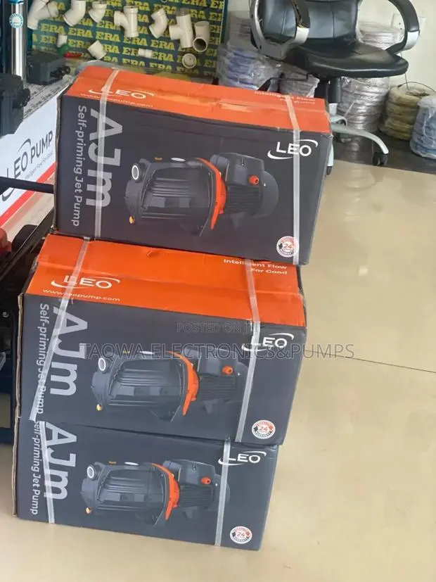 Ajm90 Series \Leo 1.5hp Cast Pump · Photo 1