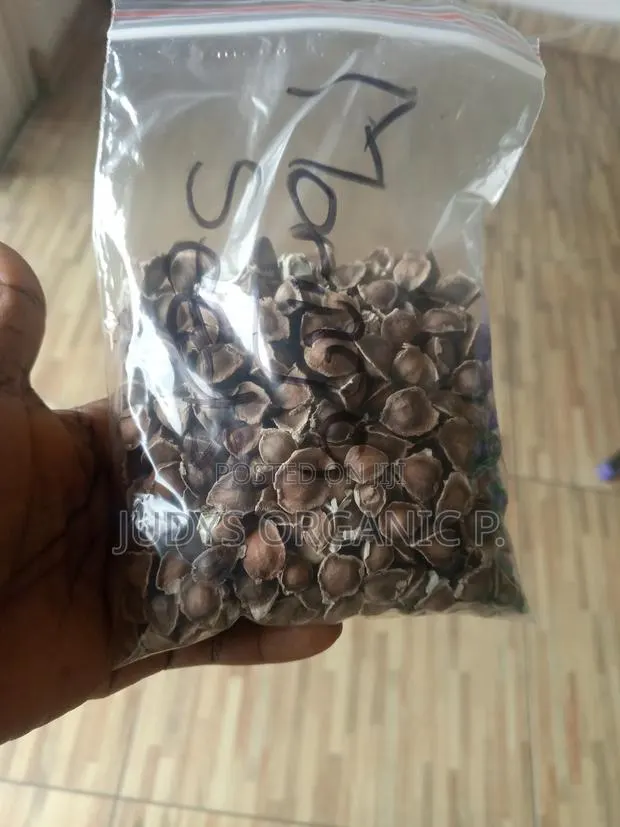 Moringa Seeds · Photo 1